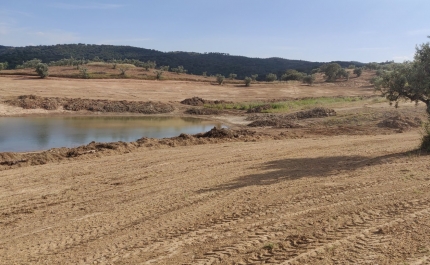 Nova praia fluvial «nasce» nas margens do Alqueva no próximo ano