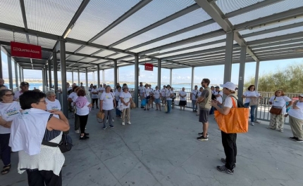 Tavira celebra o Mês Sénior reforçando o compromisso com o envelhecimento ativo e o combate ao isolamento social