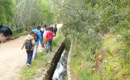 Semana da Floresta, da Água e da Meteorologia integra a iniciativa “Limpar Portugal 2015” no Concelho de Loulé
