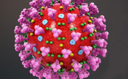 Covid-19: Algarve regista hoje 323 novos casos