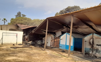 Almancil: «Clube Equestre A Palmeirinha» destruído pelas chamas