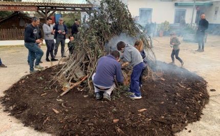 Madeiro de Natal vai ser aceso na Cortelha