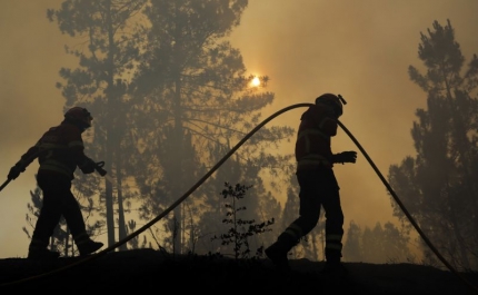 Incêndios: Mais de 80 concelhos de 10 distritos em perigo máximo