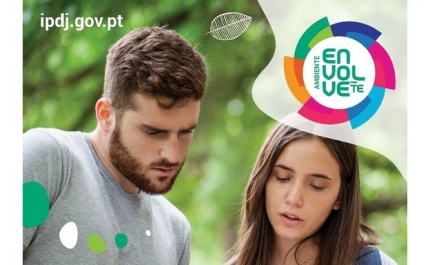 Candidaturas para entidades promotoras no âmbito do Programa Voluntariado Jovem para a Natureza e Florestas (VJNF) 