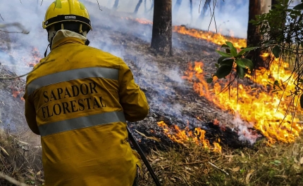 Incêndios: Governo decide no domingo se prolonga situação de contingência
