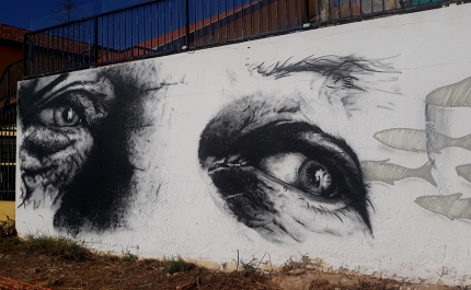 Finalizado o mural «Olhar a Ria» dedicado à Ria Formosa em Faro