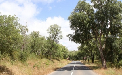 Estrada Nacional Chaves – Faro eleita um dos 19 locais do mundo a visitar em 2019