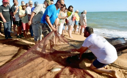 VEM AÍ A FESTA QUE CELEBRA OS SABORES DO MAR DE QUARTEIRA