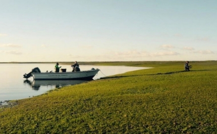 NOVO RELATÓRIO DAS NAÇÕES UNIDAS ALERTA PARA A NECESSIDADE DE PROTEGER PRADARIAS MARINHAS