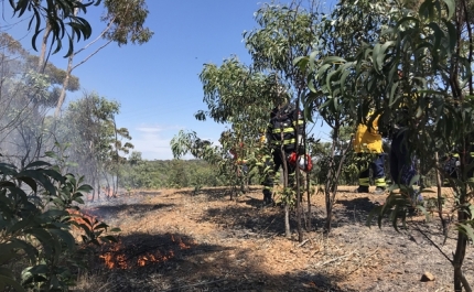 AMAL promove Curso de Fogo Controlado