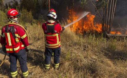 Incêndios/Algarve: Consolidação e rescaldo mobilizam 451 operacionais