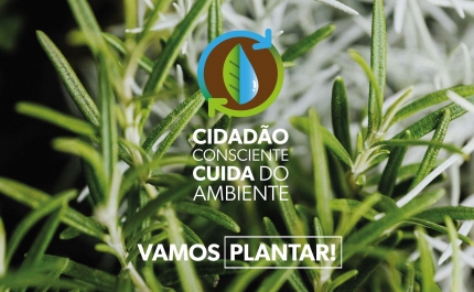 «VAMOS PLANTAR!» | ODEMIRA ASSINALA DIA MUNDIAL DA ÁRVORES COM OFERTA DE ESPÉCIES AUTÓCTONES À POPULAÇÃO