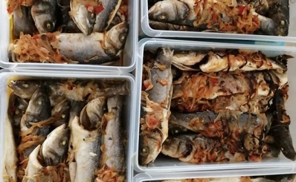 ESCOLA DE HOTELARIA E TURISMO DO ALGARVE FORNECE MAIS DE UMA CENTENA DE REFEIÇÕES A FAMILIAS CARENCIADAS