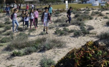 Voluntariado Ambiental | Campanha de remoção de chorão-das-praias 