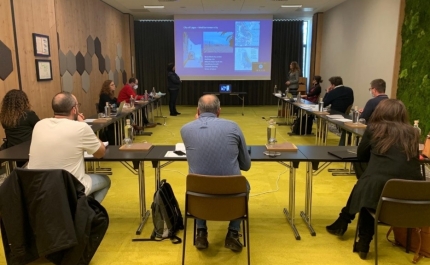 UAlg participou na reunião do projeto SuSTowns na Eslovénia