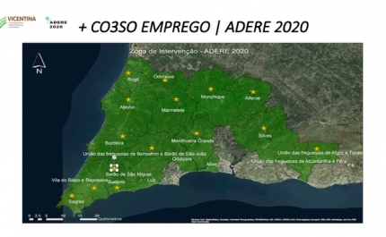 VICENTINA disponibiliza 2 milhões de euros para apoiar o emprego e o empreendedorismo