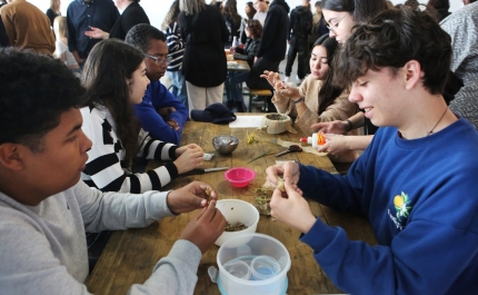 1.º Bootcamp Ambiental «Action Learning for a Green Bio-future» contou com a participação de 120 alunos de Portimão 