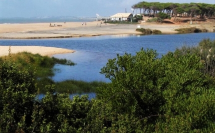 FOZ DO ALMARGEM E DO TRAFAL FUTURA RESERVA NATURAL LOCAL