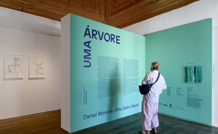 Exposição «UMA ÁRVORE» com nova visita guiada