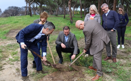 Infralobo e Infraquinta promovem Semana Mais Verde no dia da árvore 