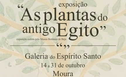As Plantas do antigo Egito em exposição, na Galeria do Espírito Santo 