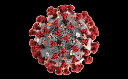 Covid-19: Algarve com 4.523 novos casos e 11 vítimas mortais entre 07 e 13 de junho
