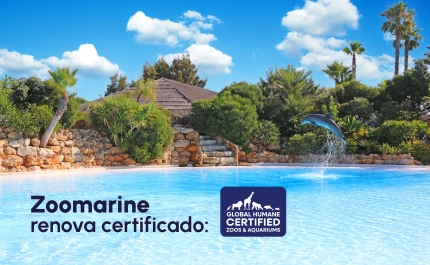 Zoomarine renova certificação de bem-estar animal pelo oitavo ano consecutivo