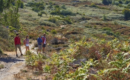 ALGARVE ATERRA EM BARCELONA E MADRID