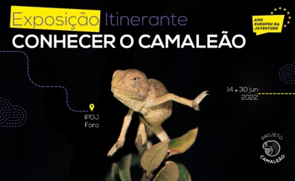 Exposição itinerante «Conhecer o Camaleão» 