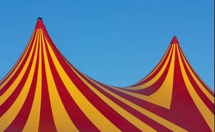 Câmara de Faro recusa instalação de circo por questões de higiene