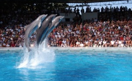 Zoomarine recebe mais de 8 mil visitantes