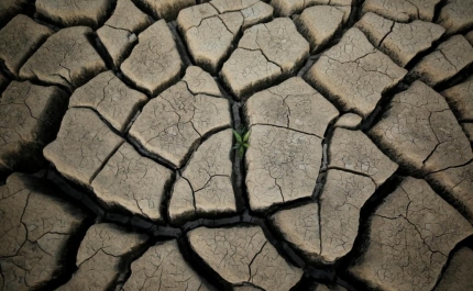 Seca: Feira em Ourique debate impacto das alterações climáticas na pecuária