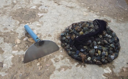 AUTORIDADE MARÍTIMA REALIZA AÇÃO DE FISCALIZAÇÃO NA RIA DE ALVOR