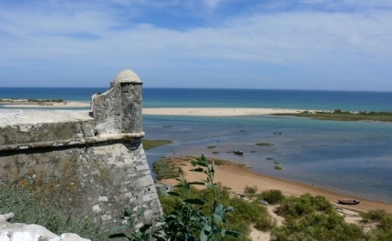 MUNICÍPIO DE FARO ORGANIZA 13.ª EDIÇÃO DA AÇÃO ECOLÓGICA LIMPAR A RIA FORMOSA 