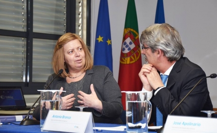 Ministra do Mar quer definir este ano perfil do futuro Observatório do Atlântico