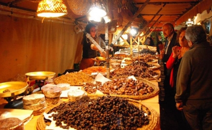 Regresso ao Passado no Salir do Tempo