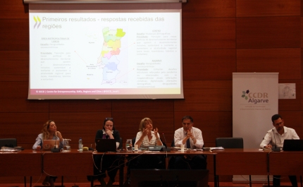 REPENSAR AS POLÍTICAS DE DESENVOLVIMENTO TERRITORIAL NO NOVO AMBIENTE GLOBAL