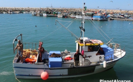 400Kg de lixo recolhidos na Limpeza Subaquática Quarteira 2015 