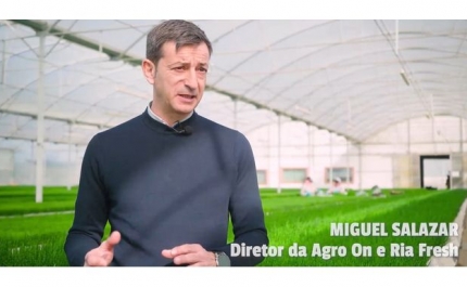 RiaFresh®, Agricultura, um Ativo Estratégico para o Algarve