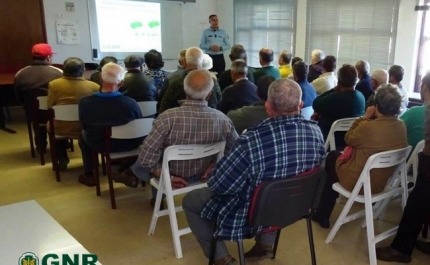 Ações de esclarecimento sobre incêndios florestais