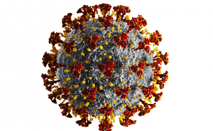 Covid-19: Algarve hoje com 889 novos casos e 3 vítimas mortais