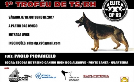 Algarve vive fim-de-semana dedicado ao desporto canino 