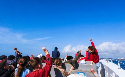 AlgarExperience e Câmara Municipal de Albufeira lançam segunda edição da «Viagem ao Reino Azul»