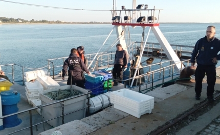 Autoridade Marítima Nacional e Marinha detetam embarcação espanhola a pescar ilegalmente no Algarve