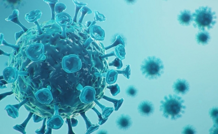 Covid-19: Algarve regista hoje mais 36 novos casos