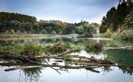 Remoção da barreira fluvial de Galaxes, em Alcoutim, cancelada por «requisitos processuais»