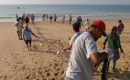 Município quer ver preservada a Arte Xávega