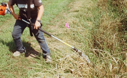Governo dá mais um mês aos proprietários para que limpem os terrenos