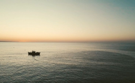 Museu de Portimão inaugura exposição «Arrifaina», de João Bracourt, dedicada à faina da sardinha