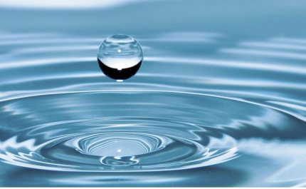 A preservação da água é o nosso compromisso